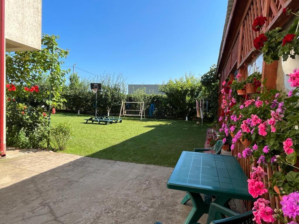 Vila Alexa Costinești Exterior foto