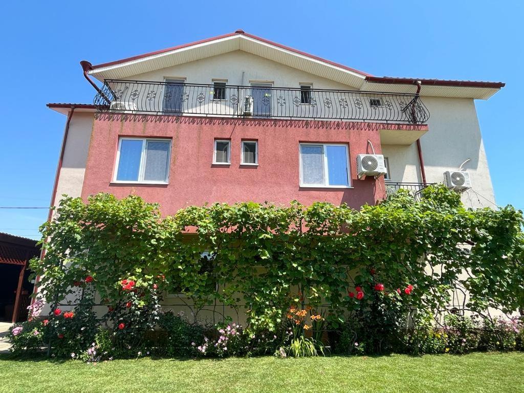 Vila Alexa Costinești Exterior foto