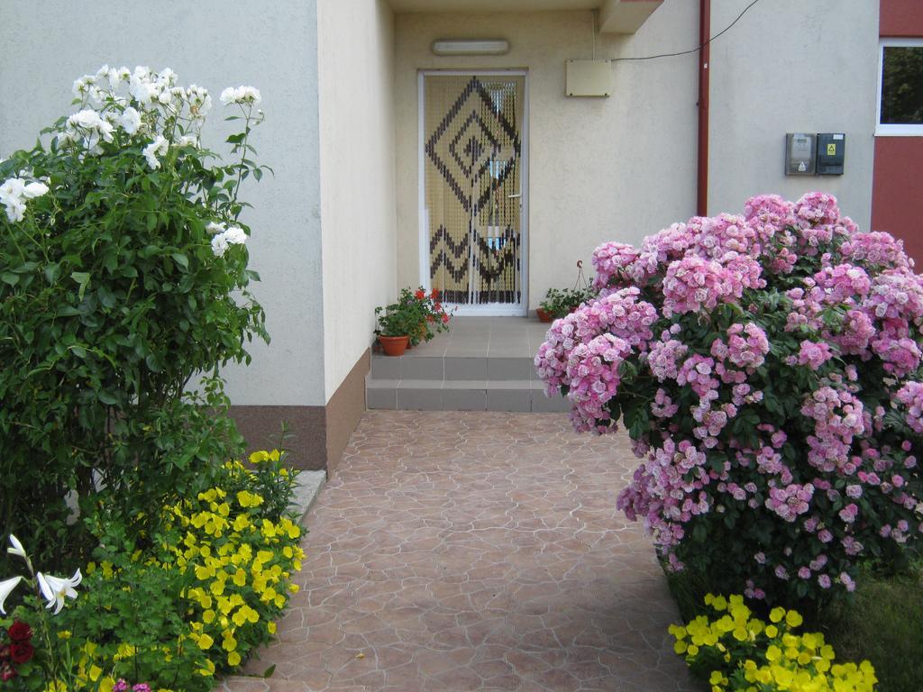 Vila Alexa Costinești Exterior foto